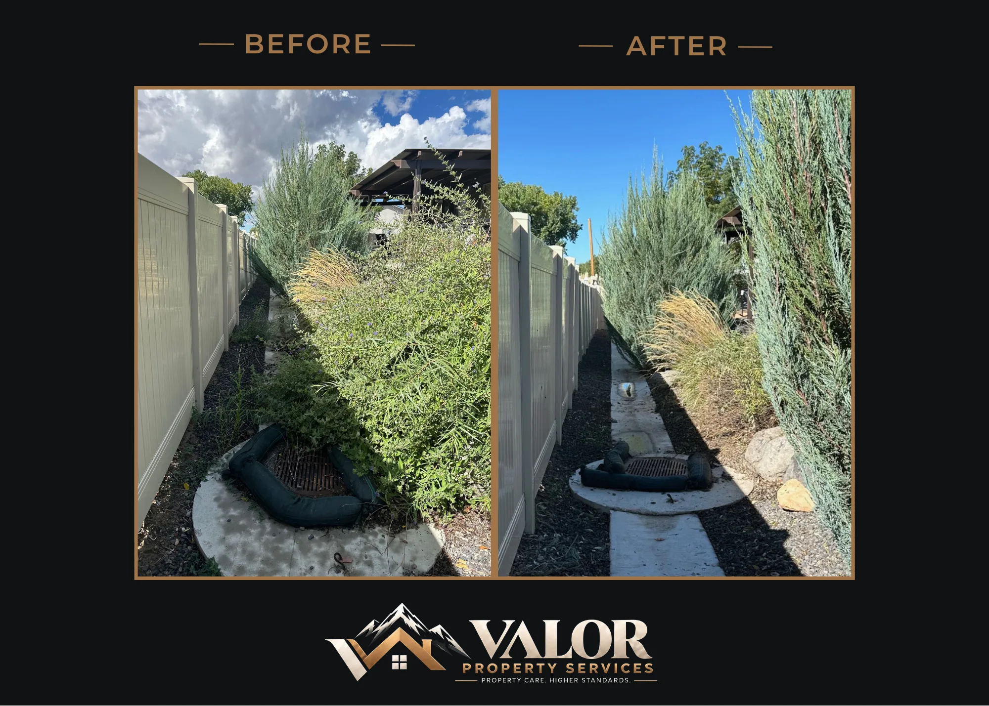 Before and after photo 3