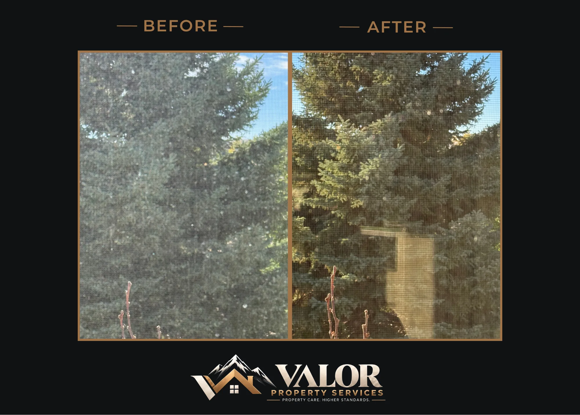 Before and after photo 7