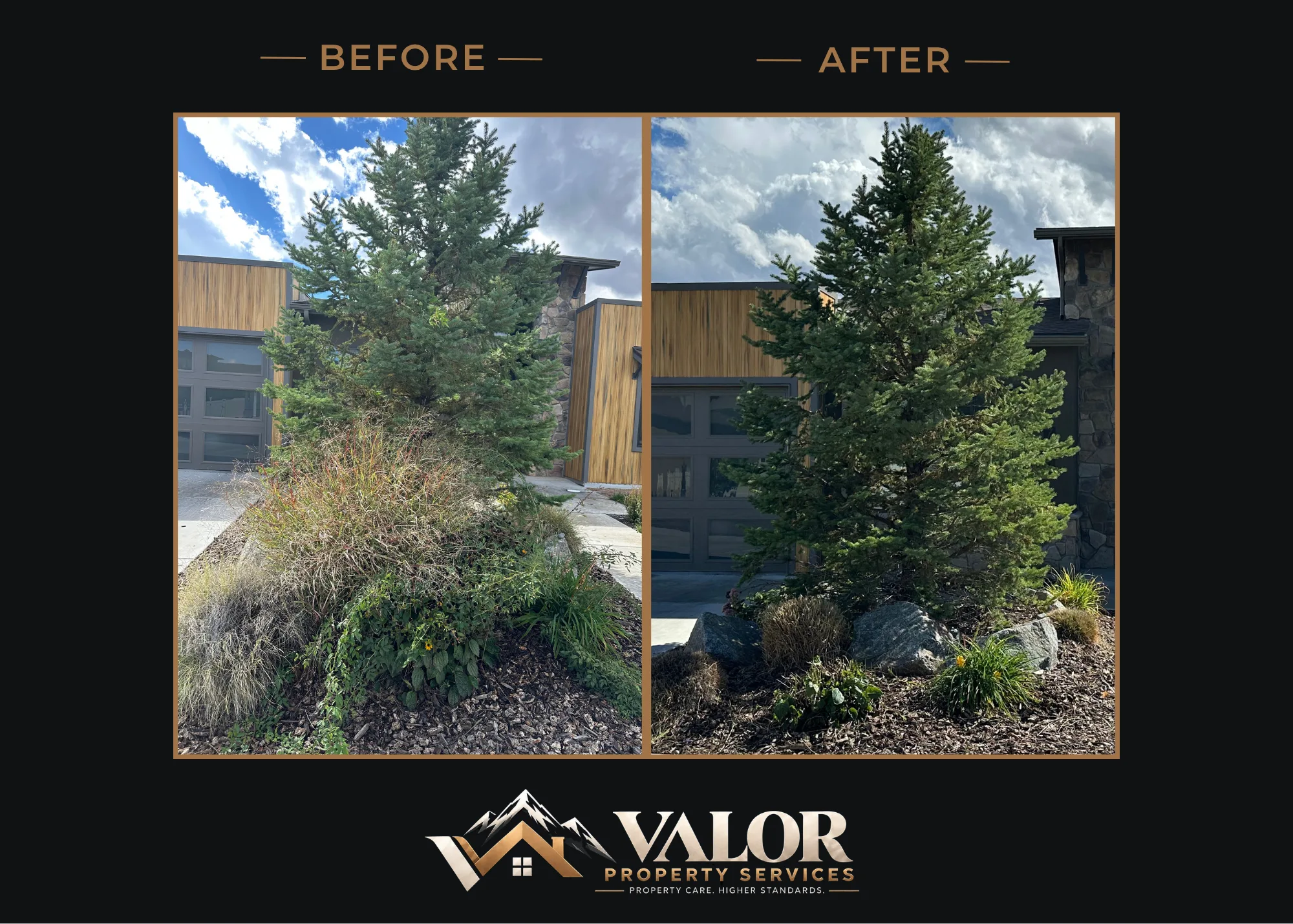 Before and after photo 8