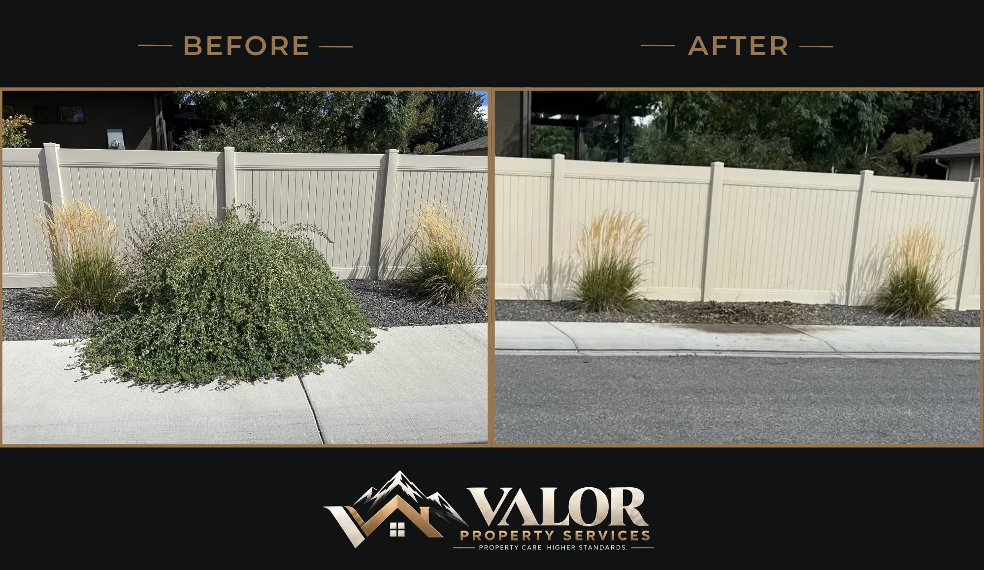 Before and after photo 12